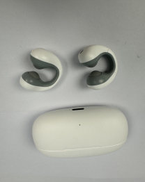 TWS Ear buds